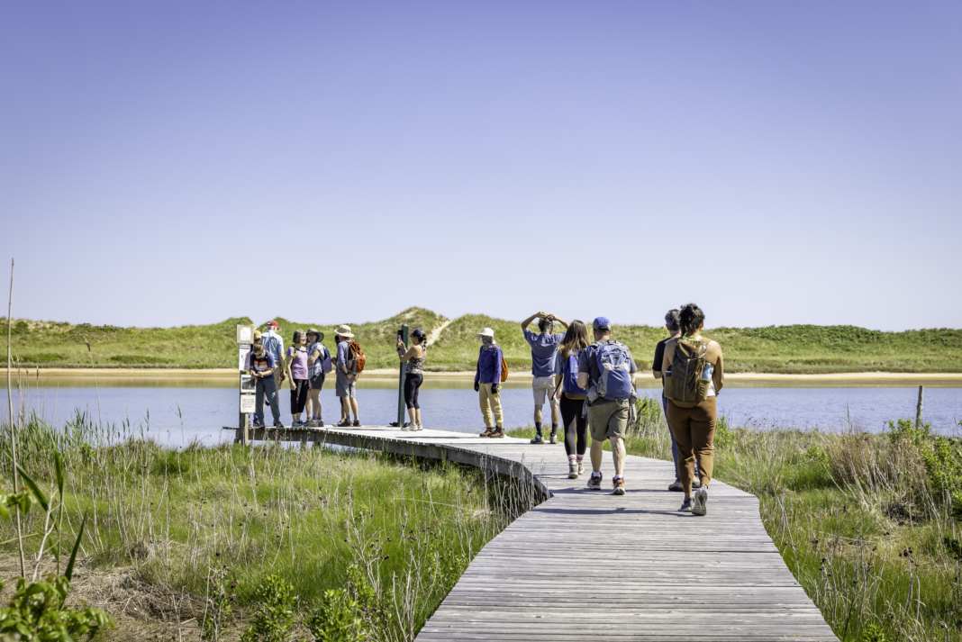 people standing on boardwalk by water