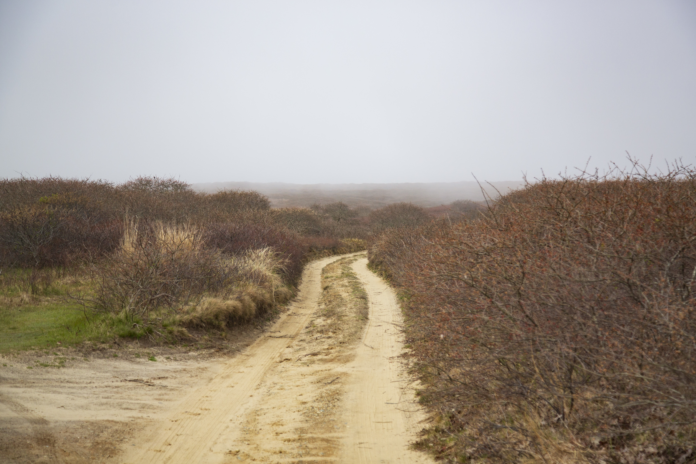 The beginning of the Coast to Coast trail on Nantucket.