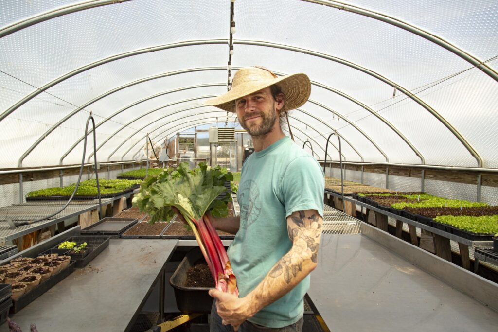 A man holds rhubarb