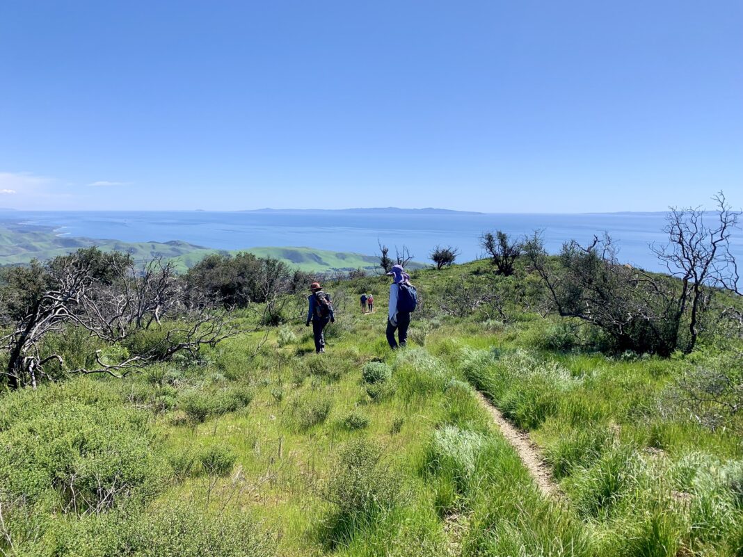 Hikers on trail with views of ocean in distance.