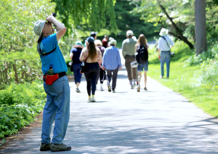 man with binoculars looking up