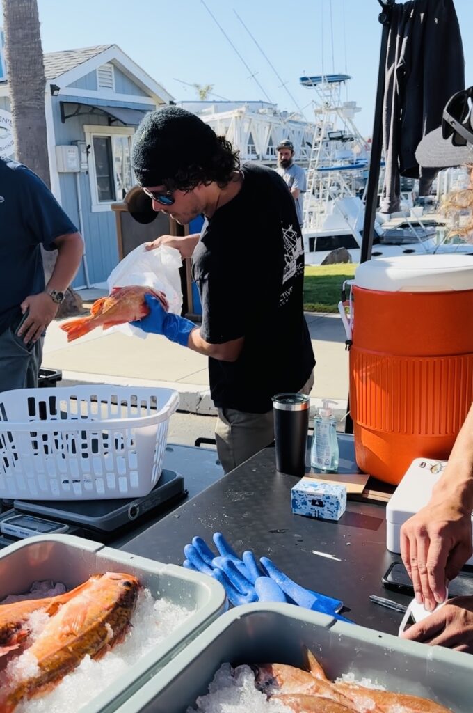 fisherman processing fish