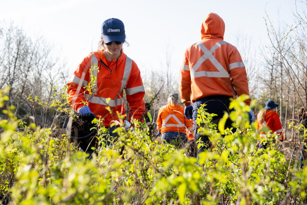 workers in brush field