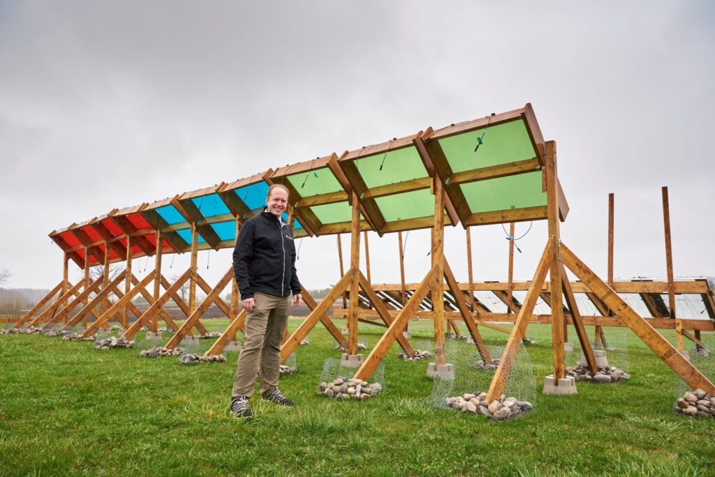 person standing underneath solar array
