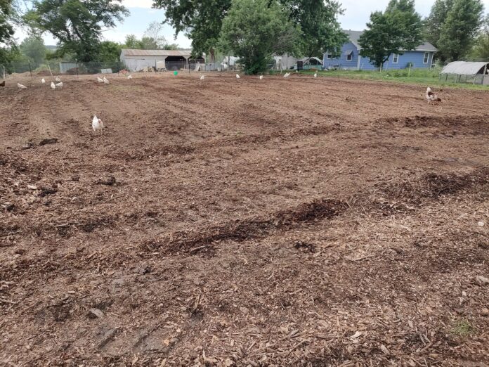 tilled soil on farm