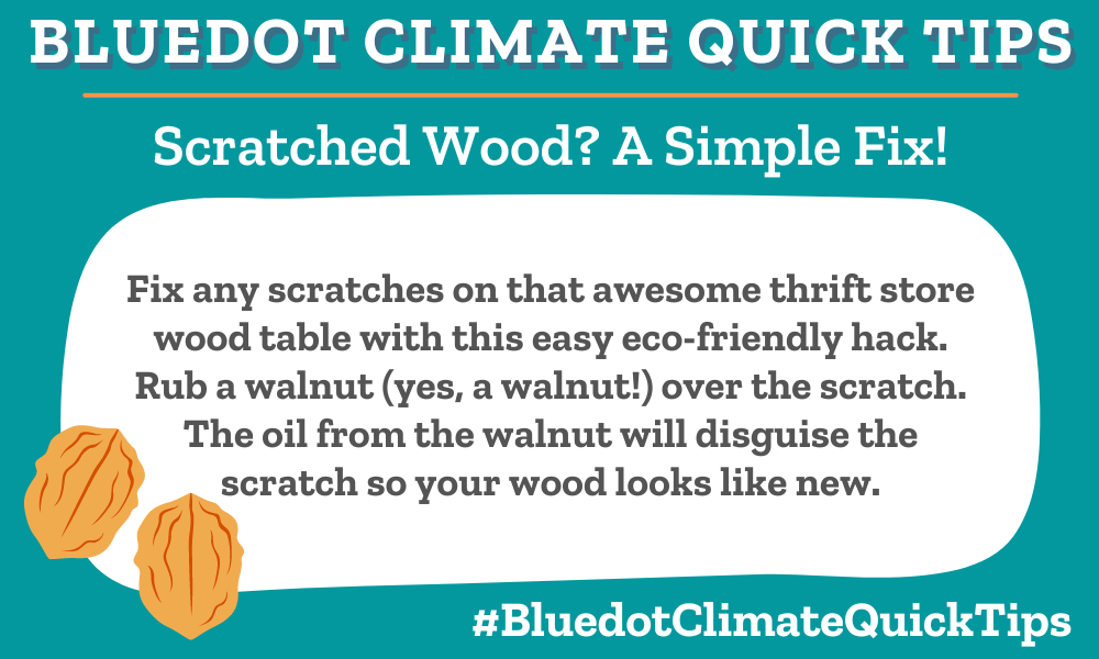 Scratched Wood? A Simple Fix! Fix any scratches on that awesome thrift store wood table with this easy eco-friendly hack. Rub a walnut (yes, a walnut!) over the scratch. The oil from the walnut will disguise the scratch so your wood looks like new. Fix flaws in wood furniture by rubbing a walnut over the scratch.