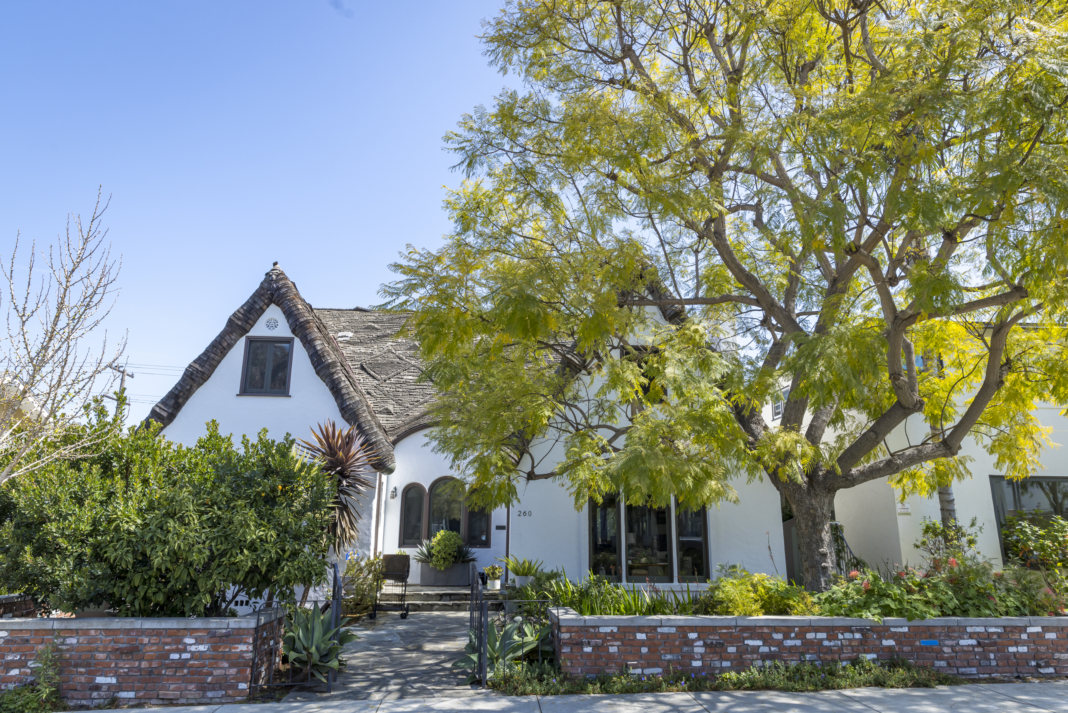 a front yard with a big tree
