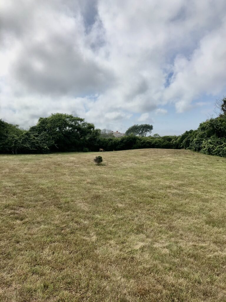 before and after meadow photos