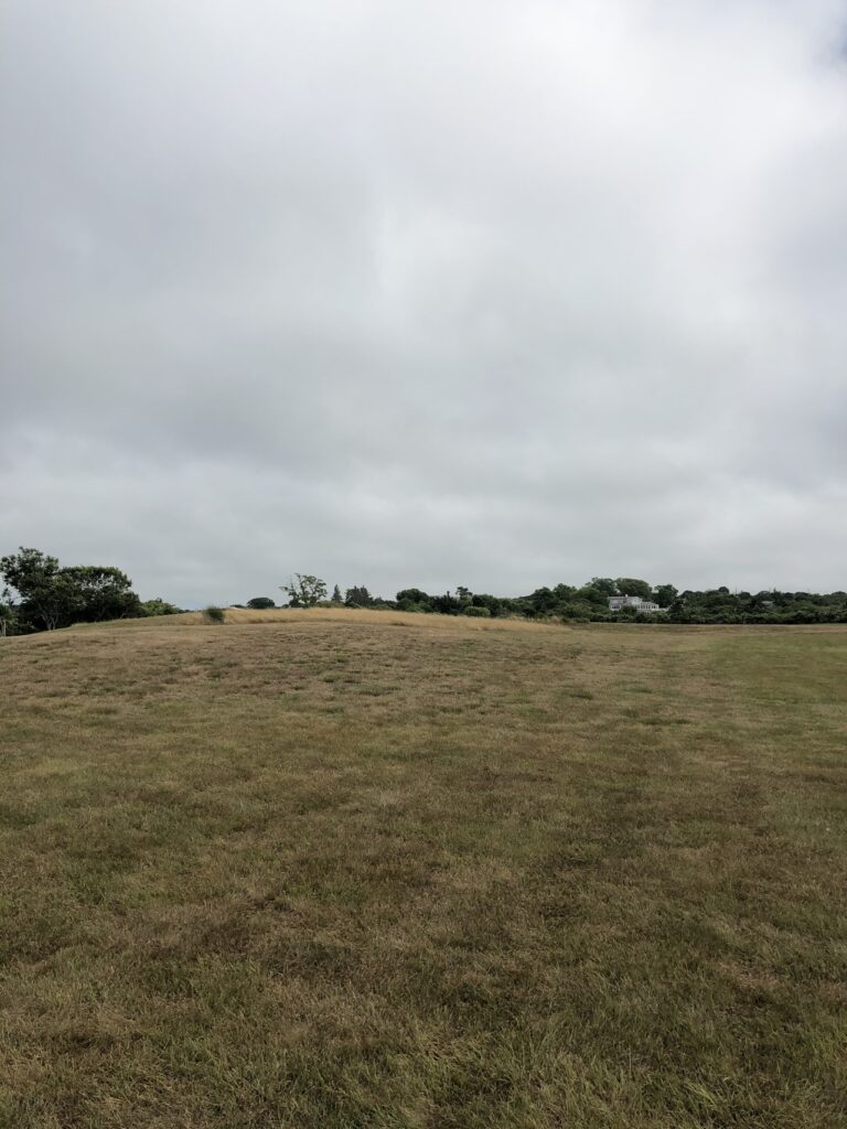 before and after meadow photos