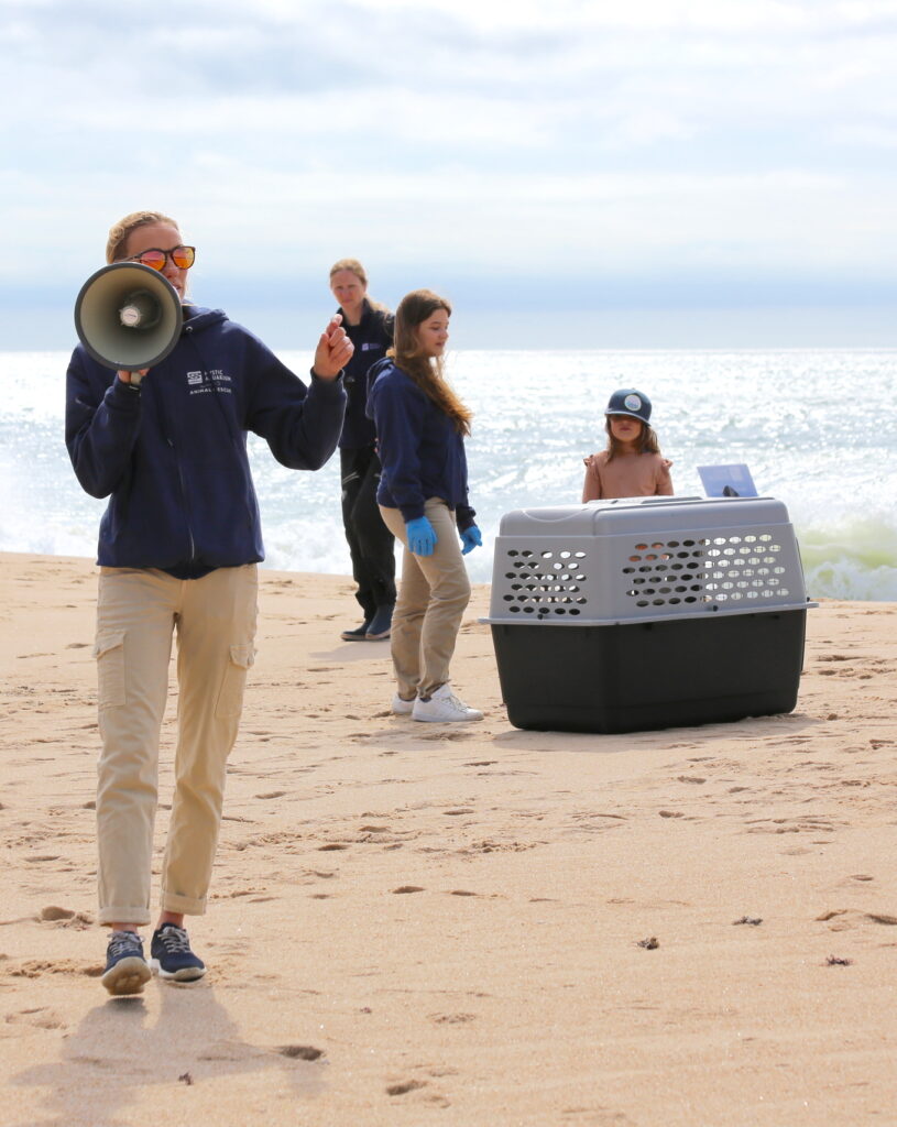 person with megaphone on beach