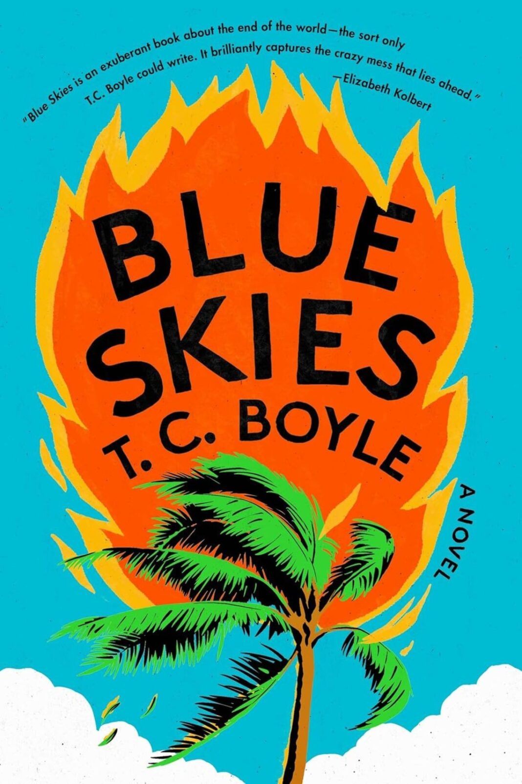 book cover tc boyle blue skies