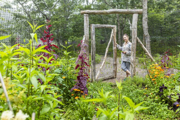 person opening gate to flourishing garden