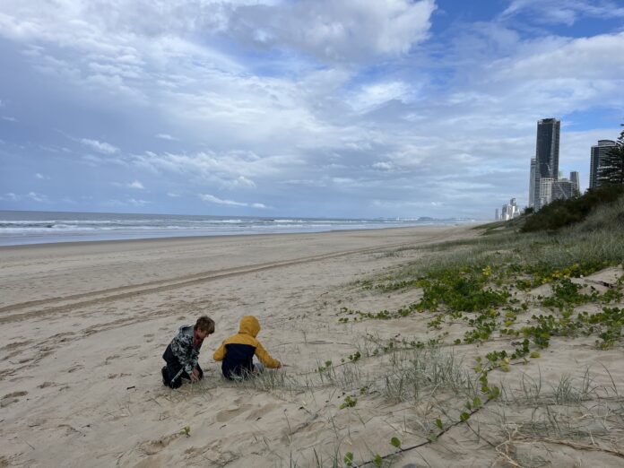 kids on a beach