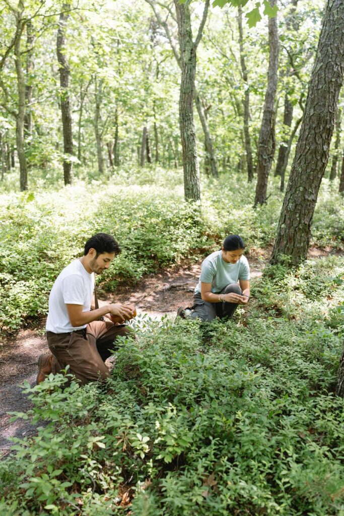 two people foraging in the woods