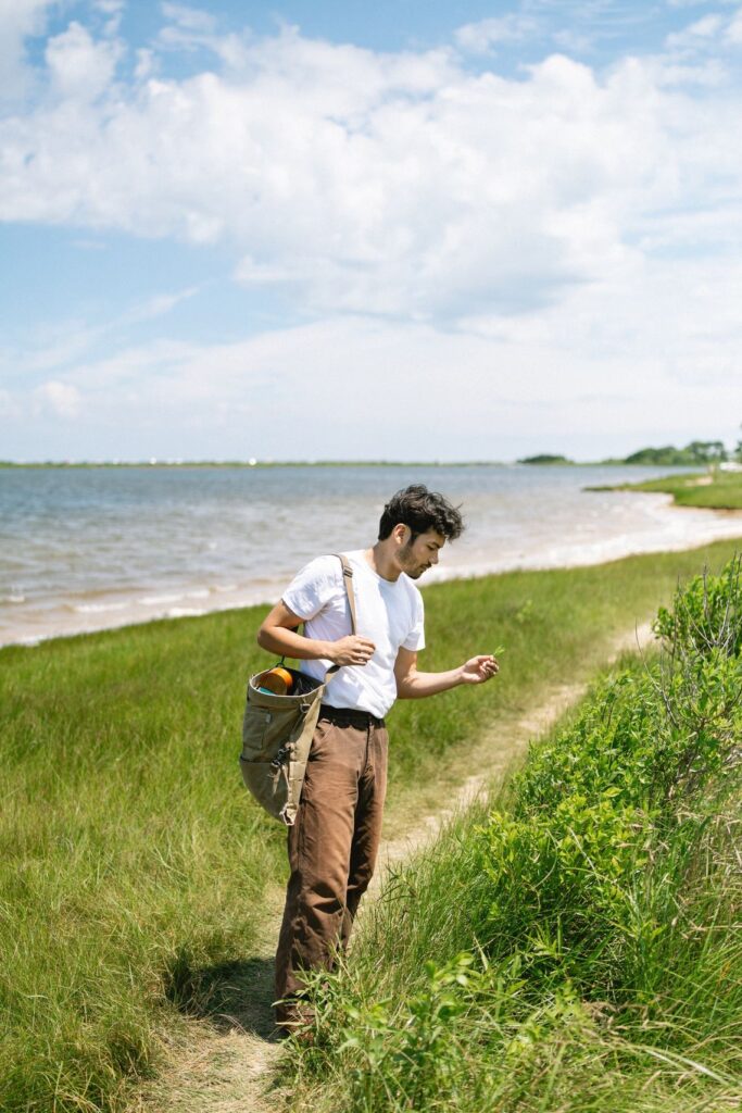 person on shore looking at plants