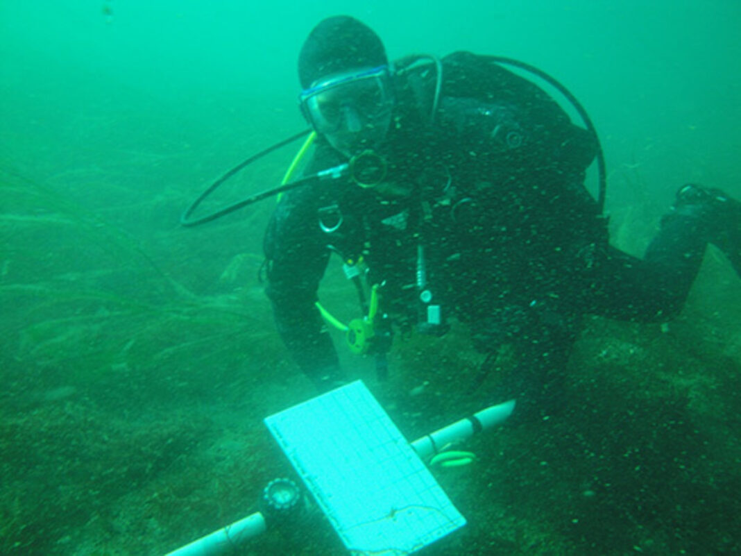 person in diving gear underwater