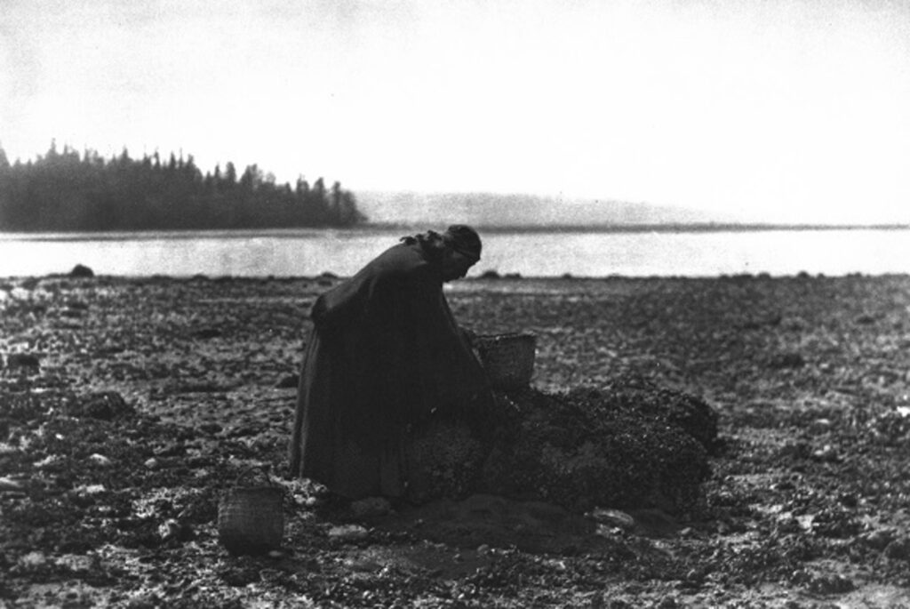 black and white photo of person harvesting mussels