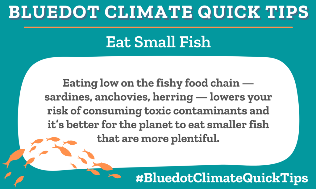 Climate Quick Tip: Eat Small Fish: Eating low on the fishy food chain — sardines, anchovies, herring — lowers your risk of consuming toxic contaminants and it’s better for the planet to eat smaller fish that are more plentiful.