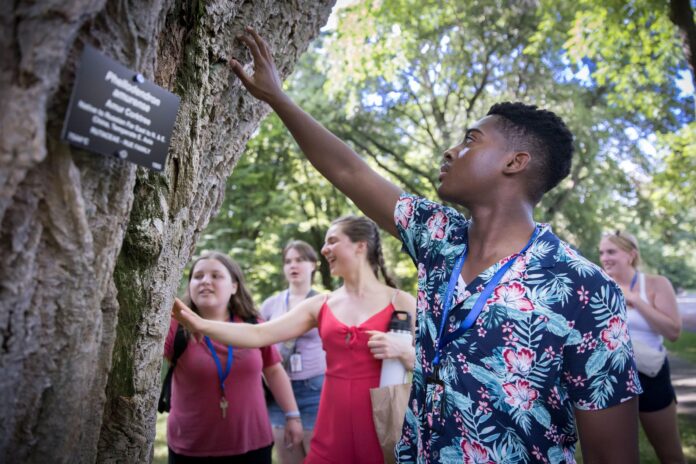 children surround a tree
