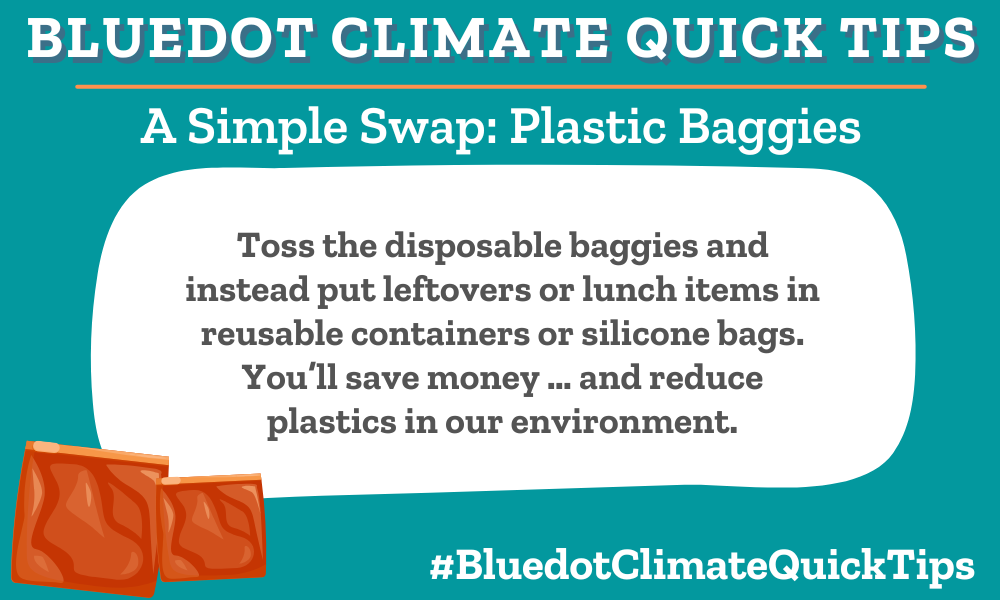 A Simple Swap: Plastic baggies Toss the disposable baggies and instead put leftovers or lunch items in reusable containers or silicone bags. You’ll save money … and reduce plastics in our environment. Bluedot’s Marketplace has plenty of reusable food storage options.