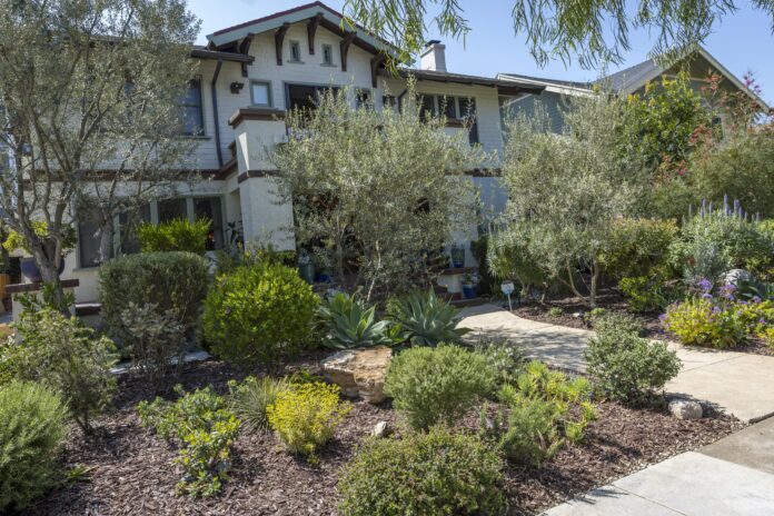 a long beach front yard