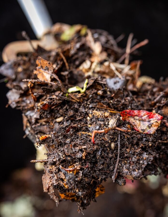 a pile of compost