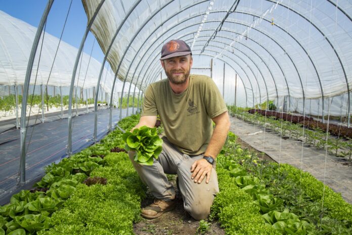 AidanFeeney_FogtownFarm__2-smoore