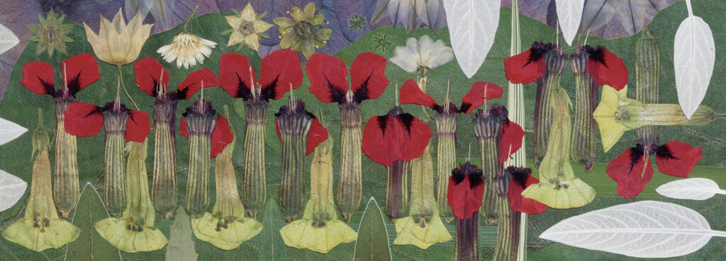 flower petals shaped into a new picture