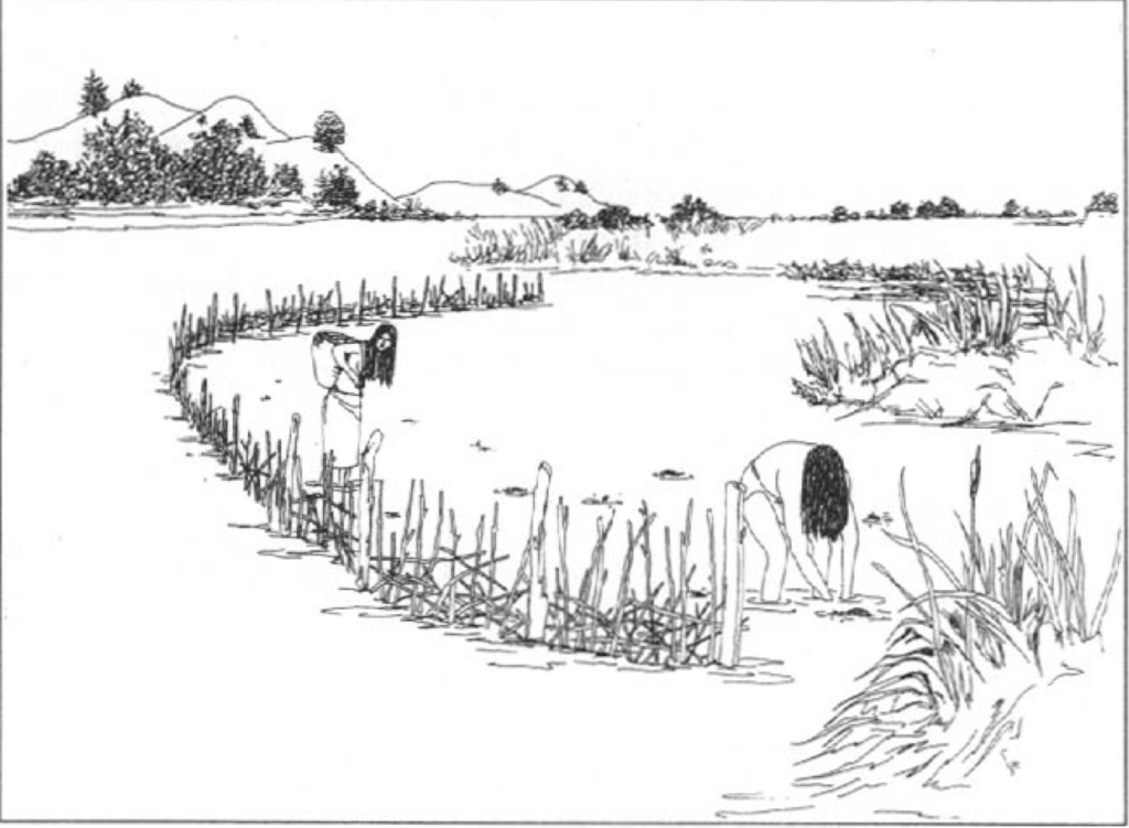 a drawing of people gathering fish in baskets