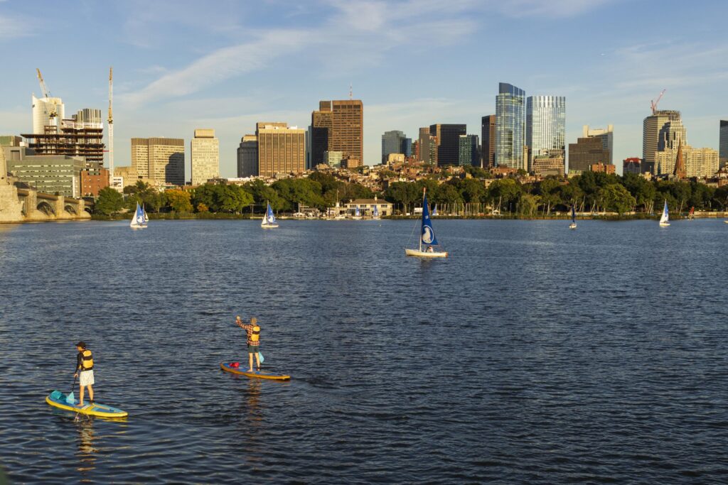 a few paddleboarders on a river