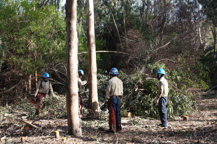 restoration work in Santa Fe