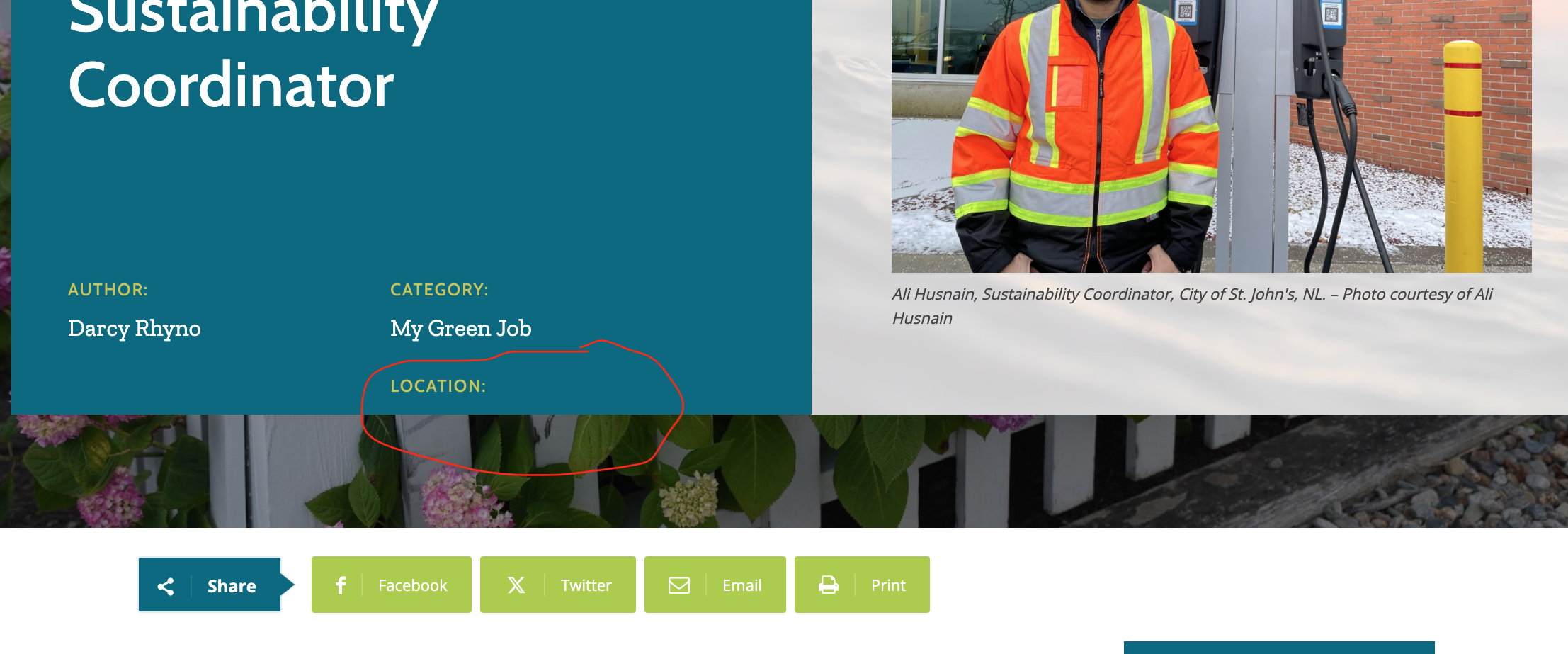Custom Field Missing in Front End