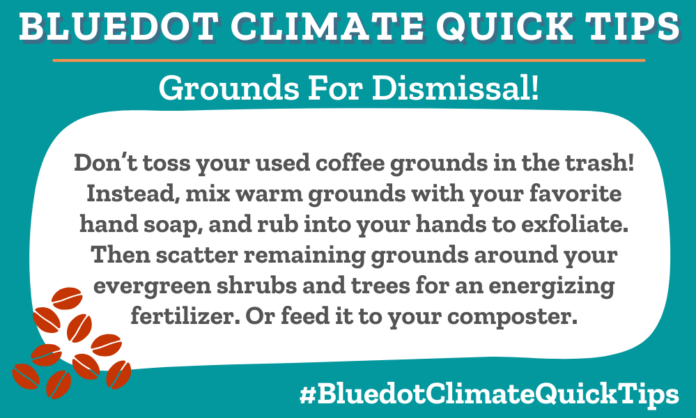 Don’t toss your used coffee grounds in the trash! Instead, rub warm grounds into your hands, mixed it with your favorite hand soap, to exfoliate. Then scatter remaining grounds around your evergreen shrubs and trees for an energizing fertilizer. Or feed it to your composter.