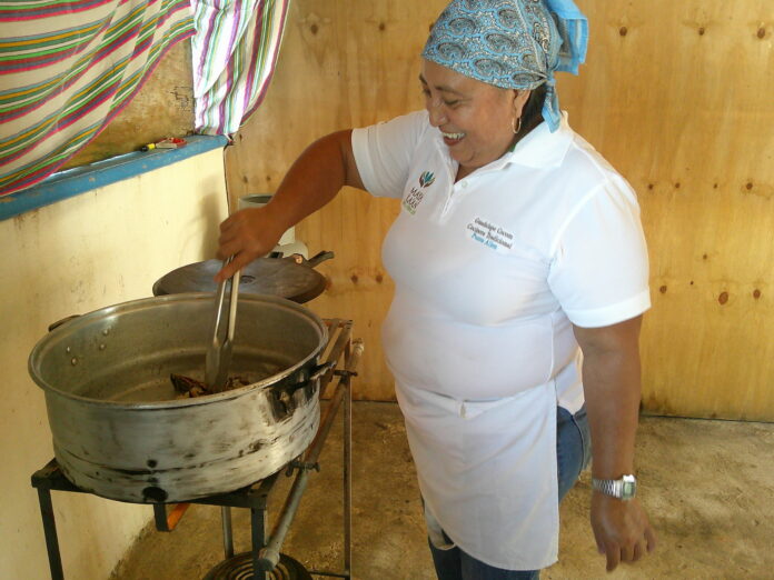 a woman making stew