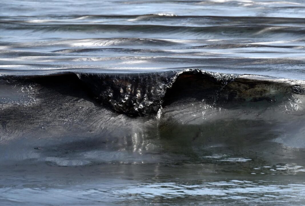 Oil in an ocean wave