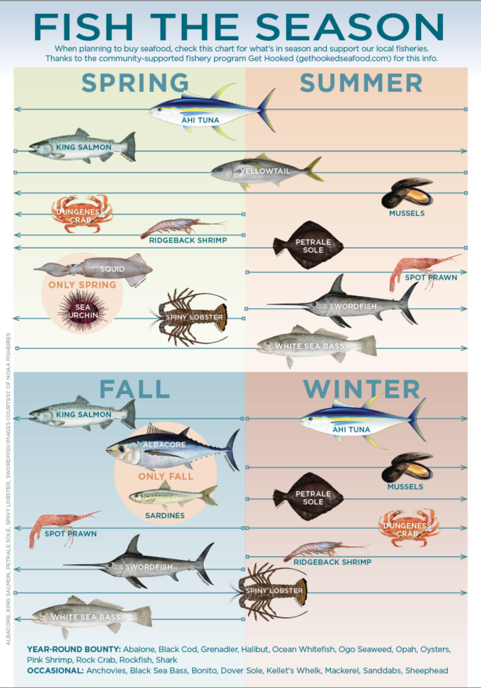 a chart depicting the fish you can catch in Santa Barbra year-round