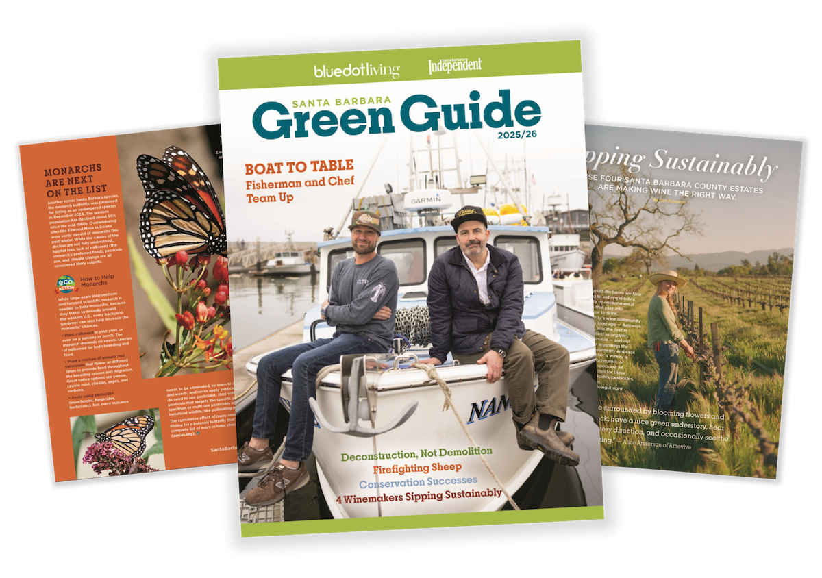 Cover of the 2025 Santa Barbara Green Guide