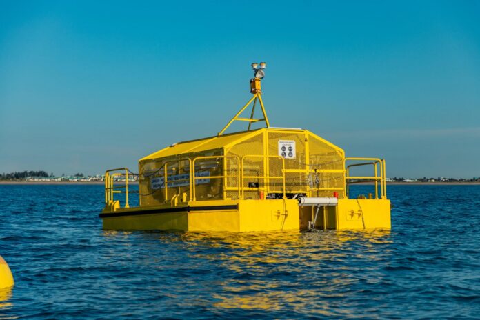 a yellow buoy floats in the ocean