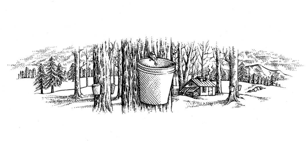 drawing of trees and bucket