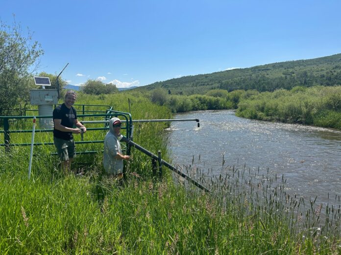 Two men stand next to a swampy river.