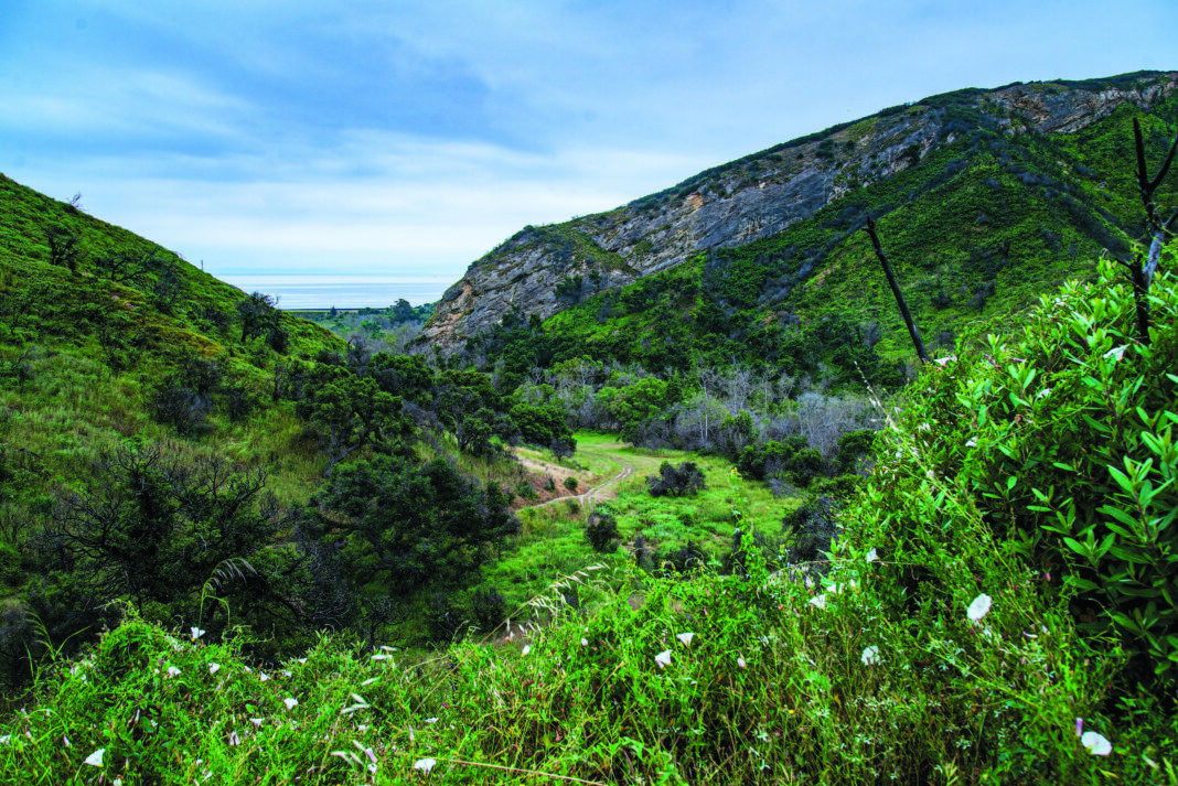 A path leading from ocean into the canyon at Arroyo Hondo preserve in Goleta, CA.