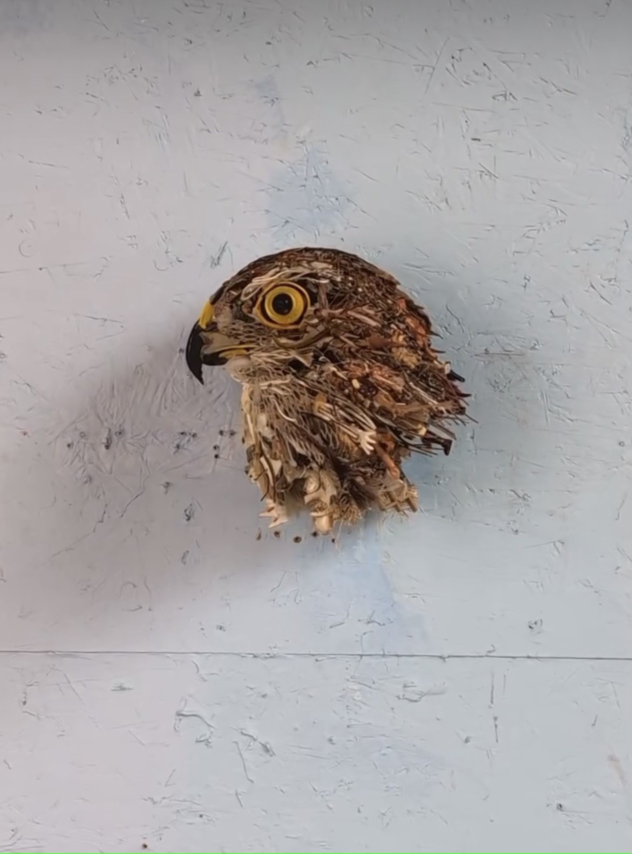 A Conversation with Thomas Deininger - Bluedot Living