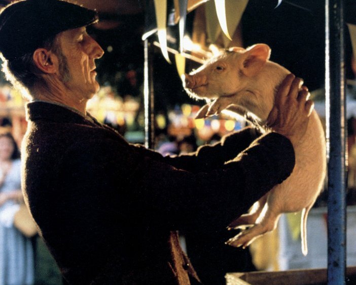 A slenderly elder man in a hat holds a piglet.