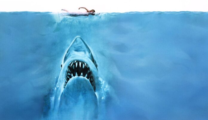 artwork of shark under water about to attack swimmer