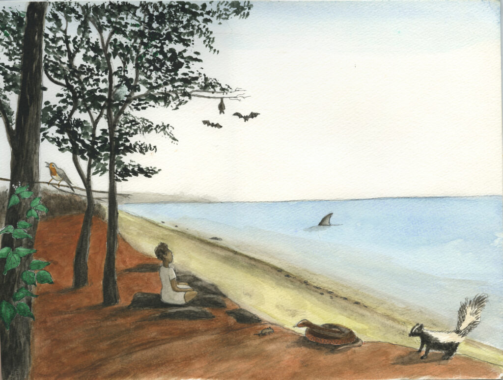 illustration of person on beach with turtle, bats, snake and skunk