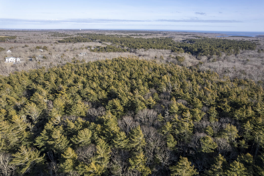Manuel F. Correllus State Forest