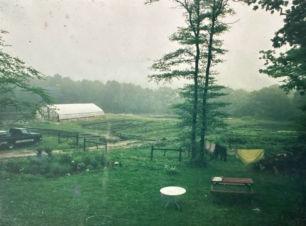 old photo of farm with greenhouse and picnic table