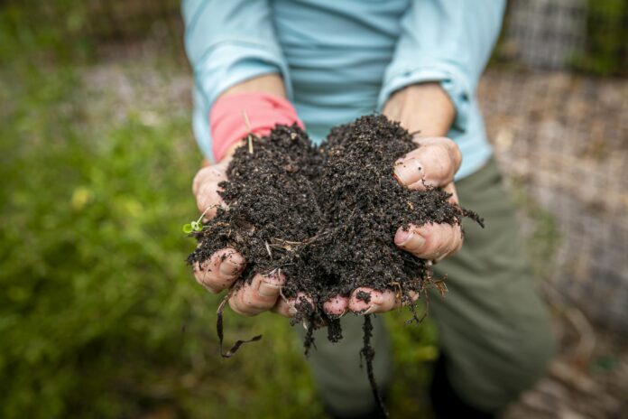 two hands holding a pile of dirt