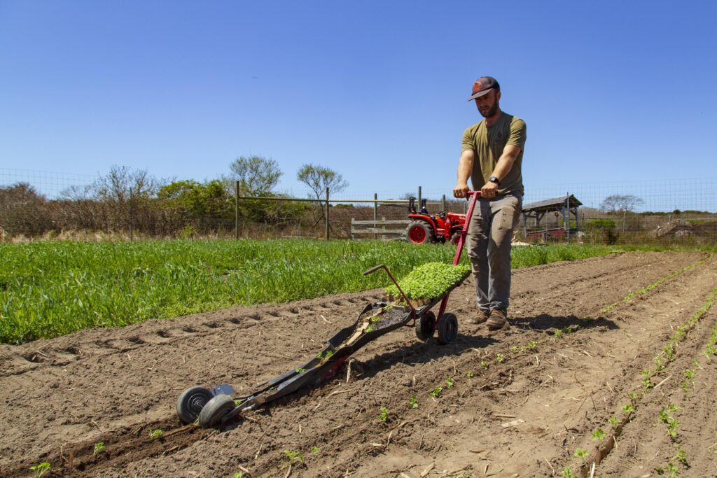 a person planting a row of seedlings