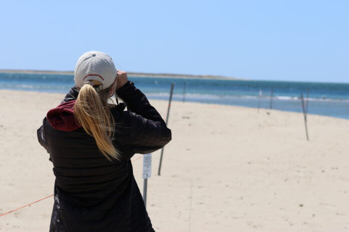 woman on beach with binoculars
